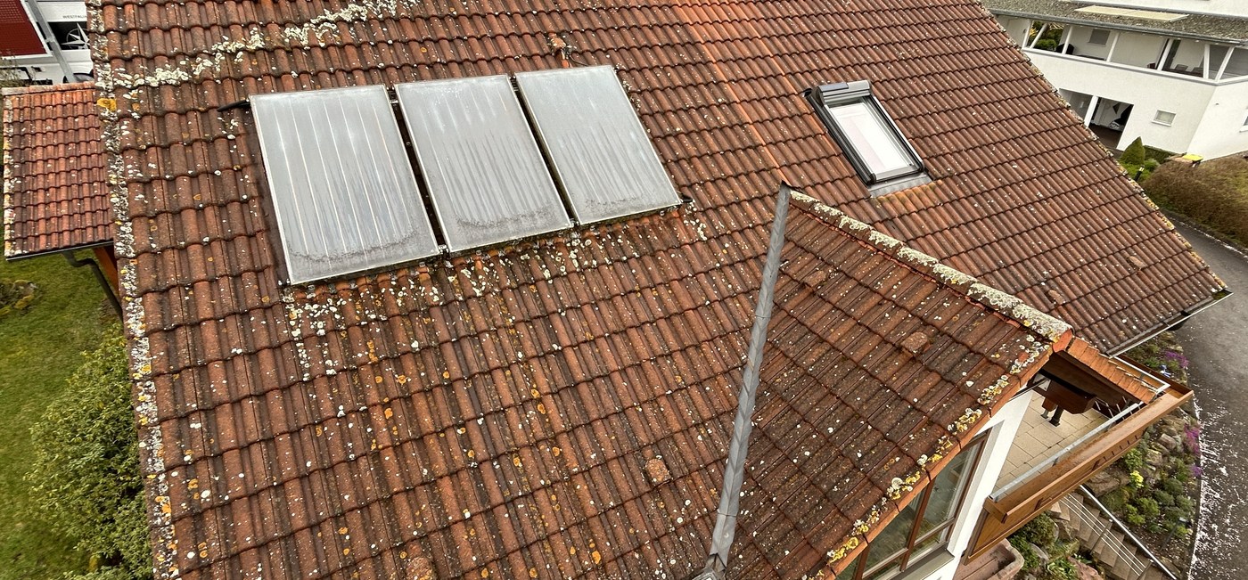 Dach vor der Reinigung mit Moos und Flechten