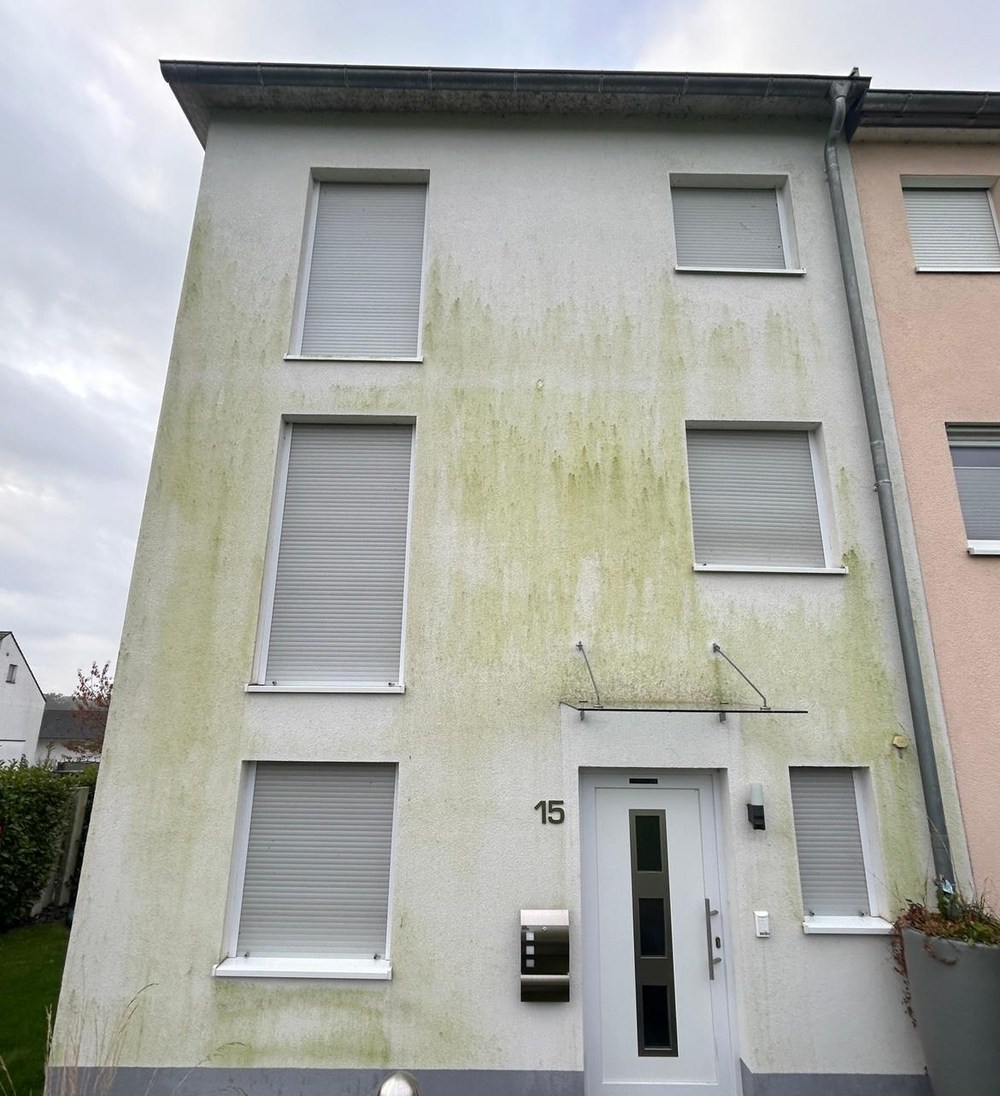 Reihenhaus-Fassade vor der Reinigung mit grünem Algenbefall