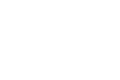 Algenzo Fassadenreinigung